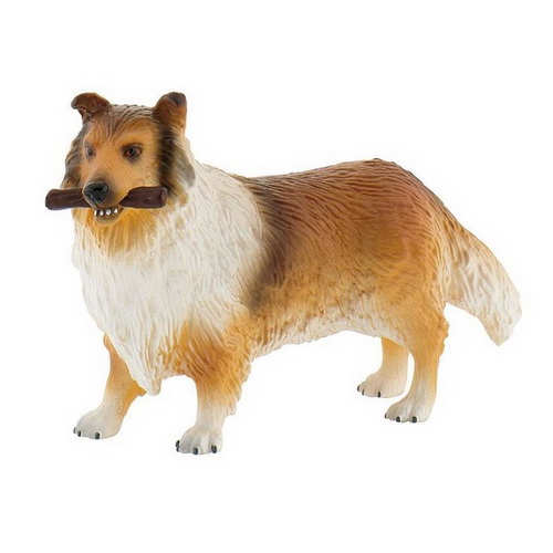Σκύλος Colli Lassie
